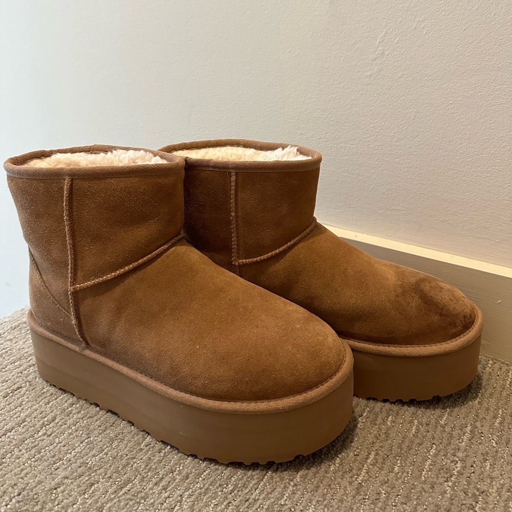 Women’s Classic Mini Platform Uggs 10 Chesnut